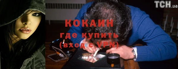 прущие грибы Аркадак