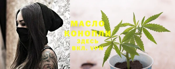 дмт Лабытнанги