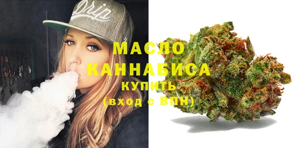 дмт Лабытнанги
